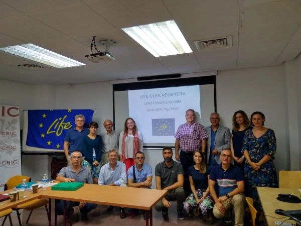 La murciana Fyneco lidera la investigación sobre los restos del aceite de oliva y el residuo ‘cero’